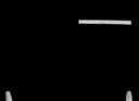64