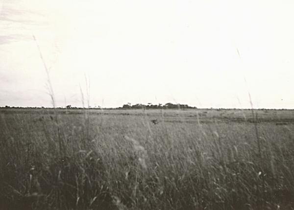 ecran