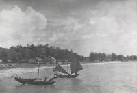 Voir l'image en grand