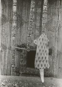 Voir l'image en grand