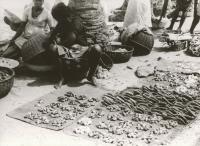 Voir l'image en grand