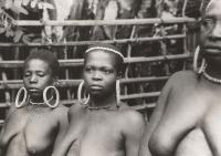 Voir l'image en grand