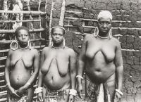 Voir l'image en grand