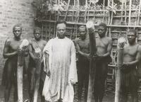 Voir l'image en grand