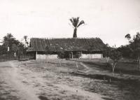 Voir l'image en grand