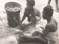 Voir l'image en grand