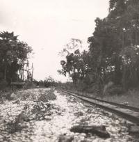 Voir l'image en grand