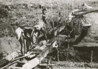 Voir l'image en grand