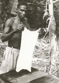 Voir l'image en grand