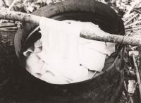 Voir l'image en grand