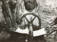 Voir l'image en grand