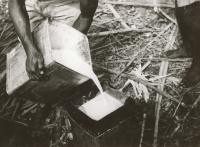 Voir l'image en grand