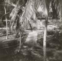 Voir l'image en grand