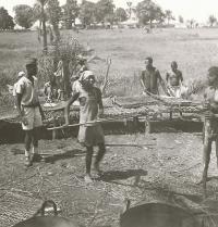 Voir l'image en grand