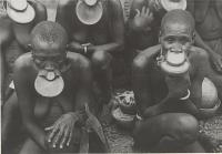 Voir l'image en grand