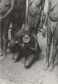 Voir l'image en grand