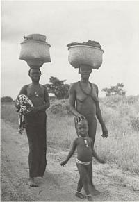 Voir l'image en grand