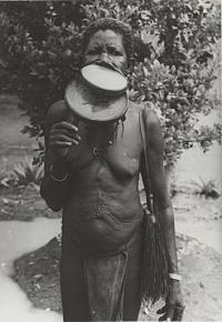 Voir l'image en grand