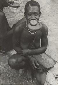 Voir l'image en grand