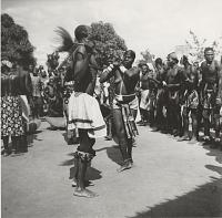 Voir l'image en grand