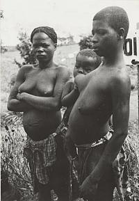 Voir l'image en grand