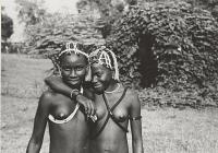 Voir l'image en grand