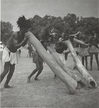 Voir l'image en grand