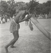 Voir l'image en grand