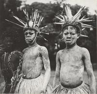 Voir l'image en grand