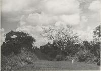 Voir l'image en grand