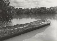 Voir l'image en grand