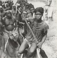 Voir l'image en grand