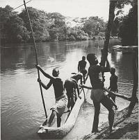 Voir l'image en grand