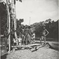 Voir l'image en grand