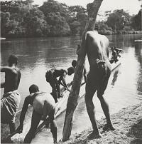 Voir l'image en grand