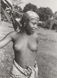 Voir l'image en grand