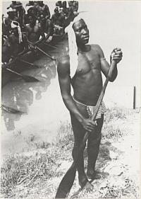 Voir l'image en grand