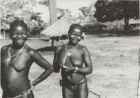 Voir l'image en grand