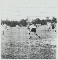 Voir l'image en grand