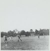 Voir l'image en grand