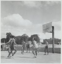 Voir l'image en grand