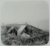 Voir l'image en grand