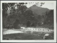 Voir l'image en grand