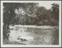 Voir l'image en grand