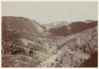 Voir l'image en grand