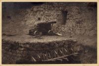 Voir l'image en grand