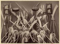 Voir l'image en grand