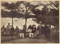 Voir l'image en grand