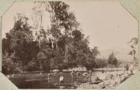 Voir l'image en grand