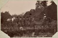 Voir l'image en grand